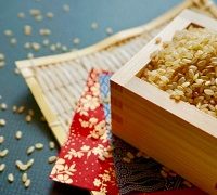 玄米は何歳から食べられる？