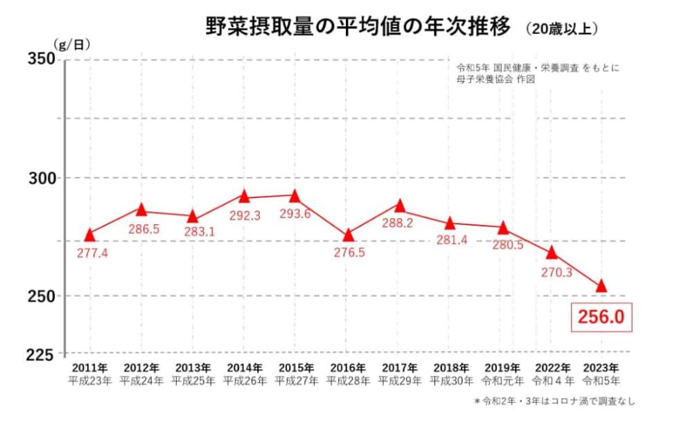 野菜 日本人 摂取量　250g　350g　あと100g　令和5年 2024年　国民健康・栄養調査