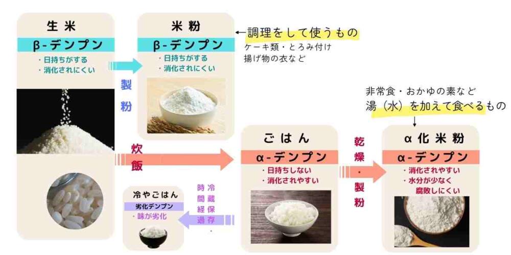 米粉 米 アルファ化 仕組み β化 α化 糊化 おかゆ 離乳食 加熱 お湯 水 電子レンジ