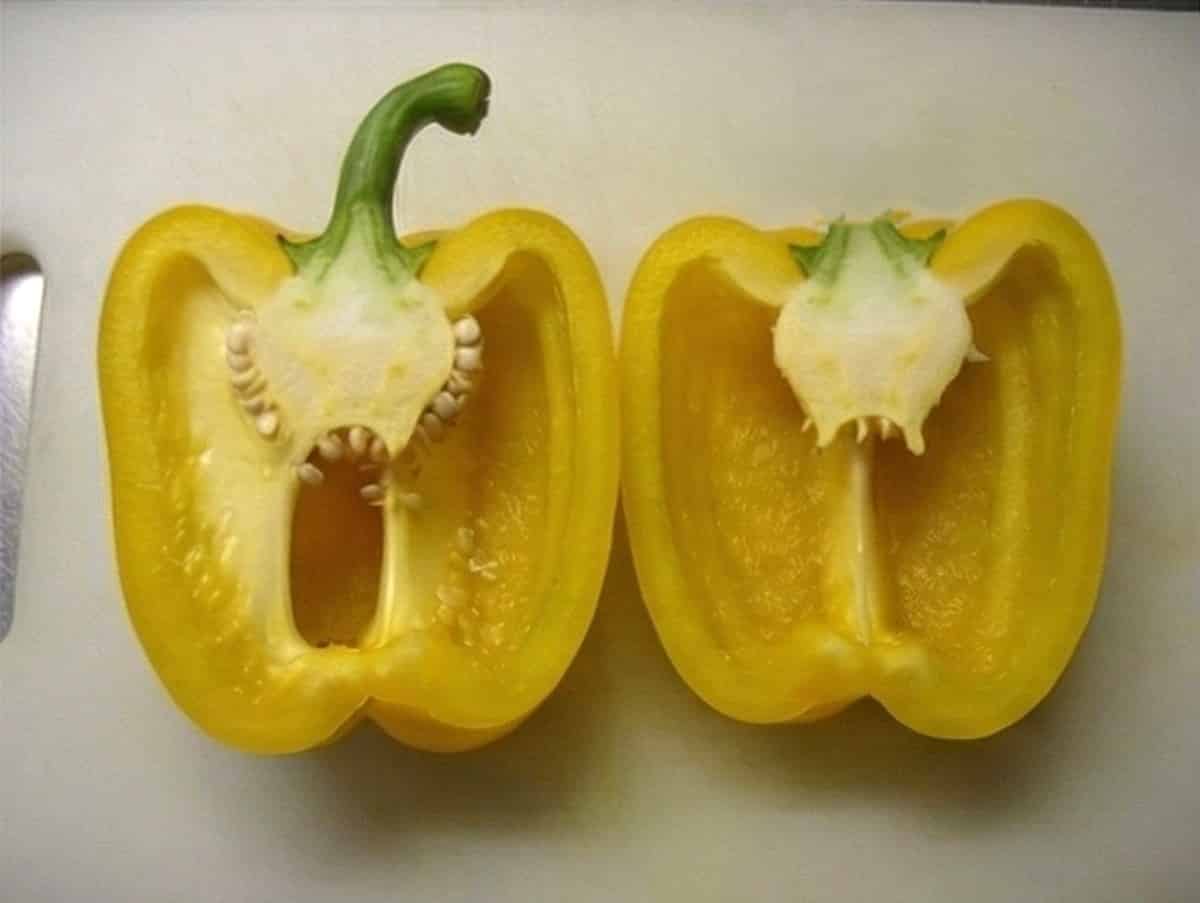 カラーパプリカは洗って、縦半分に切る