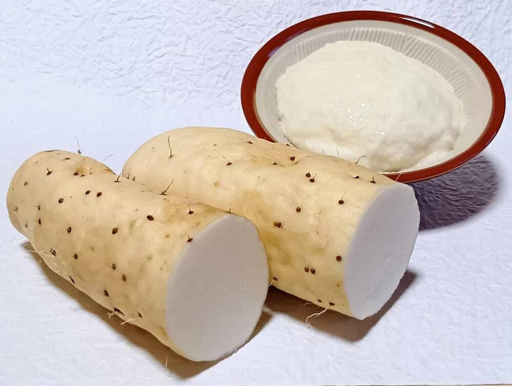 長いものネバネバ成分はムチンではなくムチレージ