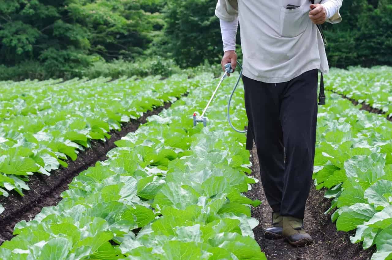 川口由美子の記事一覧